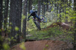 Giant Faith MiniMullet – Bild 11