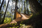 Giant Faith MiniMullet – Bild 15