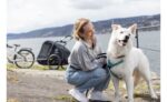 Hamax Pluto L Hundeanhänger mit Deichsel und Buggyrad – Bild 4