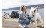 Hamax Pluto L Hundeanhänger mit Deichsel und Buggyrad – Bild 4
