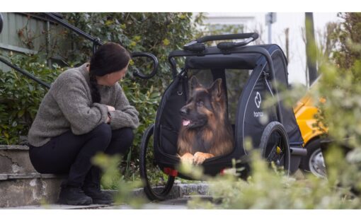 Hamax Pluto L Hundeanhänger mit Deichsel und Buggyrad