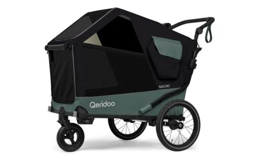 Qeridoo Nacho L Green