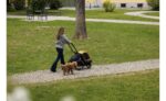 Hamax Milou S Hundeanhänger mit Deichsel – Bild 9