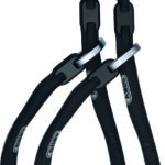 Abus WCH Wandanker + ACH 9KS Twin Chain