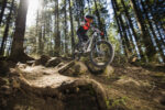 Giant Faith 24 Raw Aluminium