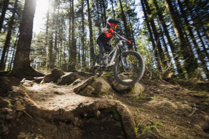 Giant Faith 24 Raw Aluminium